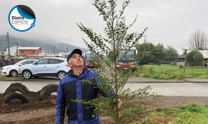 Este jueves 28 es el Día Internacional del Árbol y Lanco lo celebrará