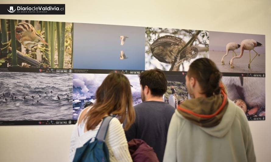 Las mejores imágenes del concurso Ojo de Pez inician su gira de exposiciones