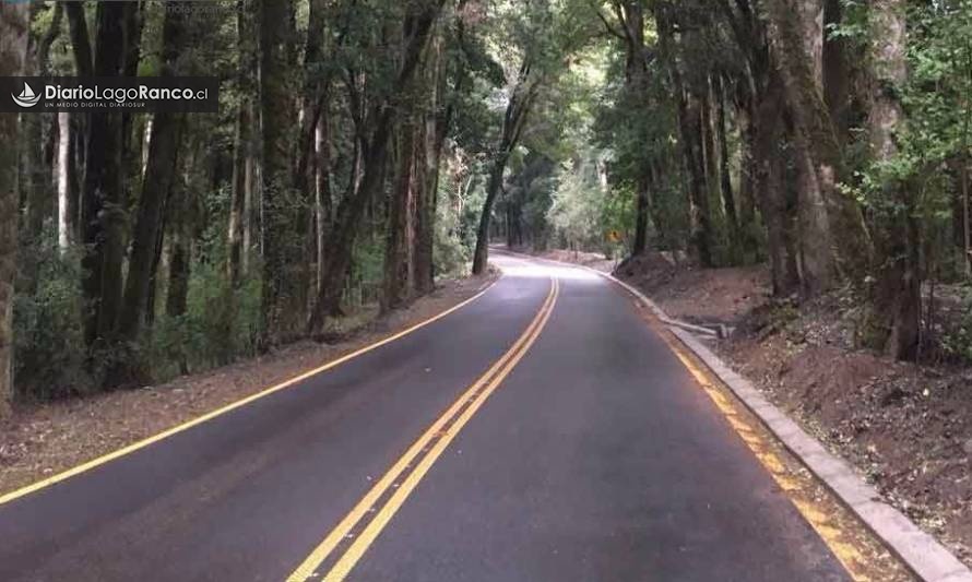 Lago Ranco: Hombre fue atropellado en cercanías de bosque Quillín