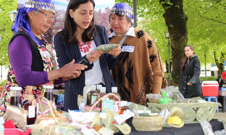 ExpoFOSIS llega este fin de semana a Lago Ranco