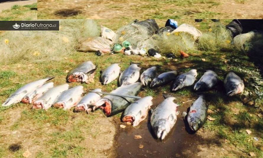 Cámara de Turismo de Futrono pide urgente fiscalización de pesca furtiva en el río Bueno