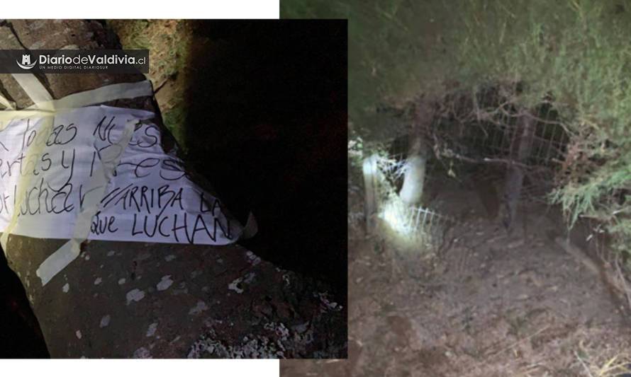 Anuncian querella por artefacto que explotó anoche en Isla Teja, Valdivia