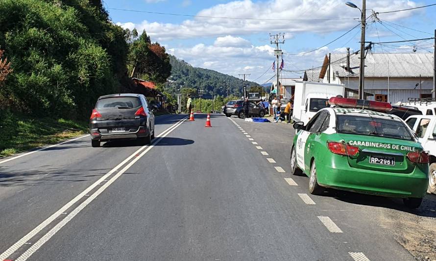 Un hombre falleció tras ser atropellado en la ruta que une Valdivia y Niebla