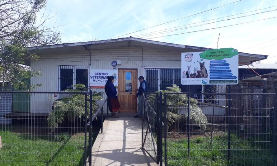 Centro Veterinario Municipal de Lanco retoma labores con estricto protocolo de atención al público