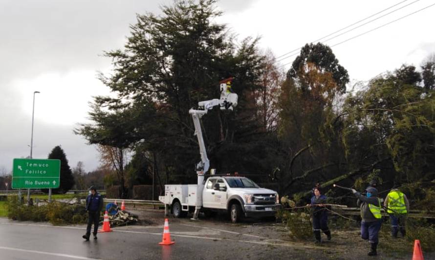 Saesa activa plan de emergencia climática en Los Ríos