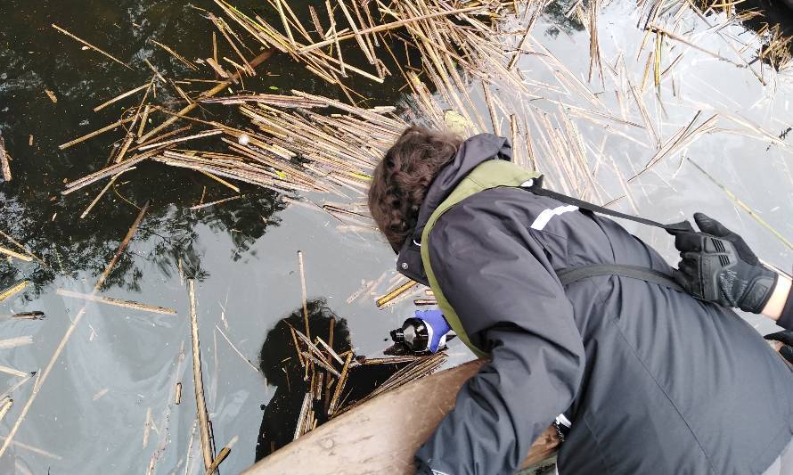 Encuentran derrame de combustible en Santuario de la Naturaleza 