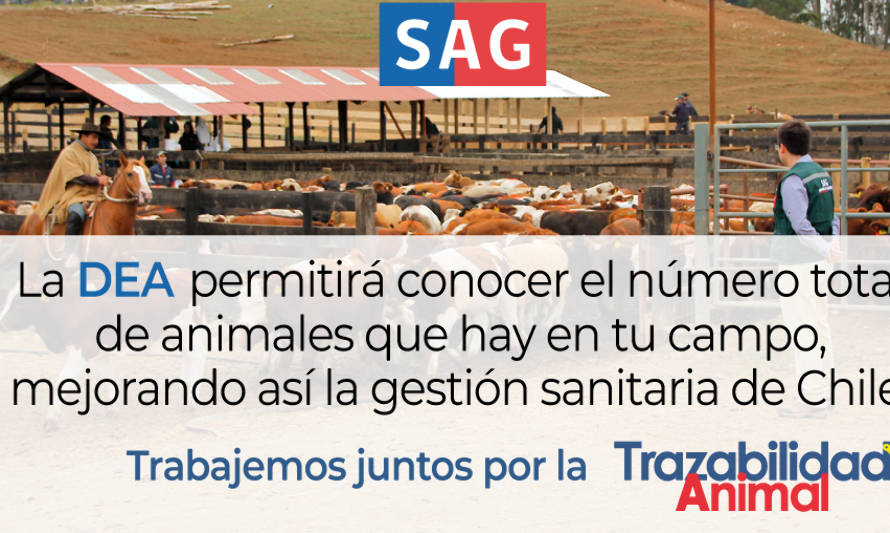 Declaración de Existencia Animal será obligatoria a partir de este año
