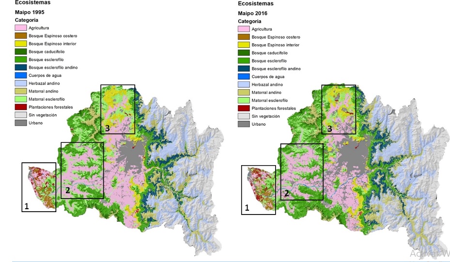 Descubren pérdida de bosque nativo en cuencas del Maipo y Maule