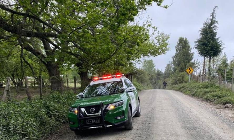 Dos detenidos por robo de madera en Panguipulli