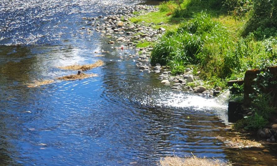Municipio de Lanco aclara situación de Planta de Tratamiento de Aguas Servidas