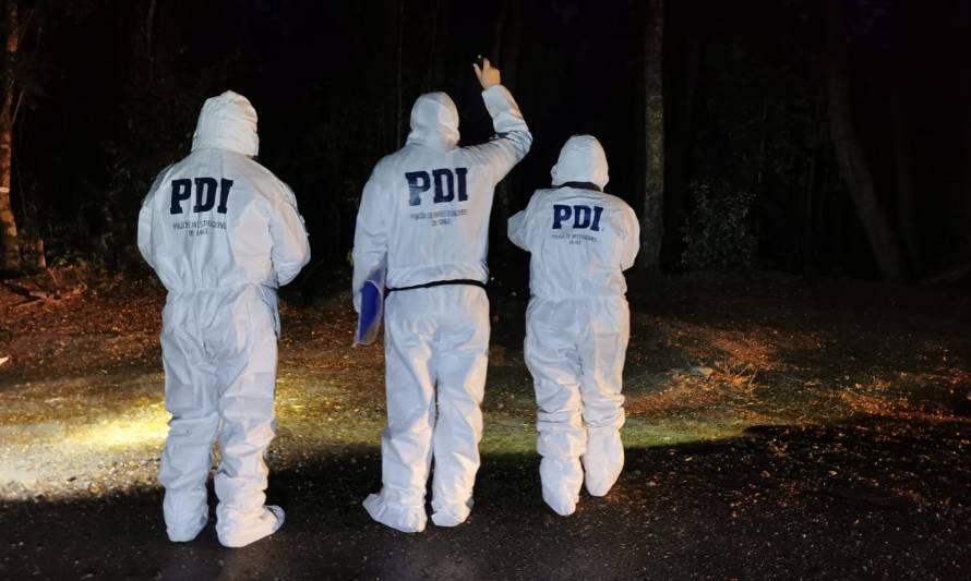 PDI indaga muerte de hombre encontrado calcinado en Panguipulli 