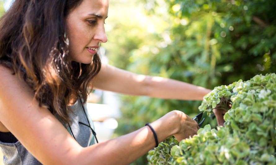 Emprendedora valdiviana cuenta su historia de reinvención hacia el mundo de las flores