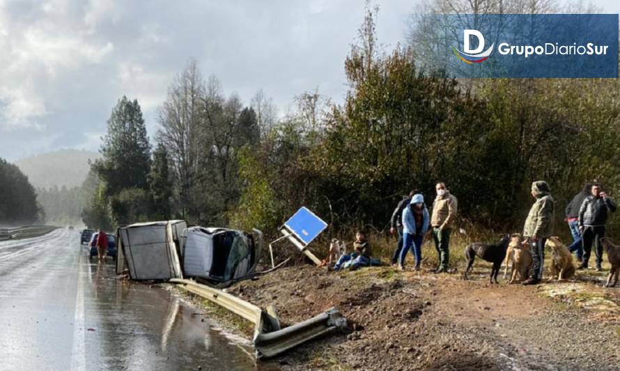 Accidente en Ruta 5 afectó a vehículo que transportaba perros galgos