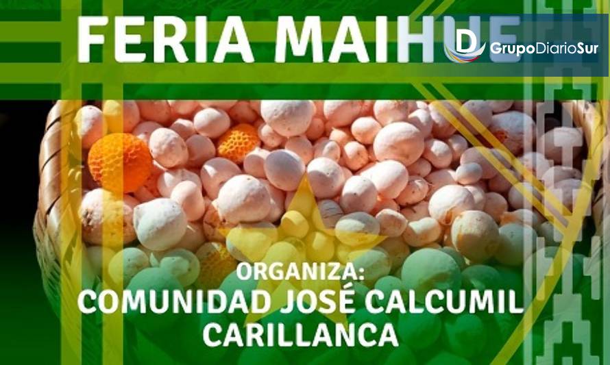 Vuelve la muestra costumbrista de digüeñes y nalcas a Maihue