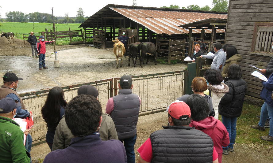 Día de Campo se enfocó en potenciar la producción de leche incorporando genética en los rebaños