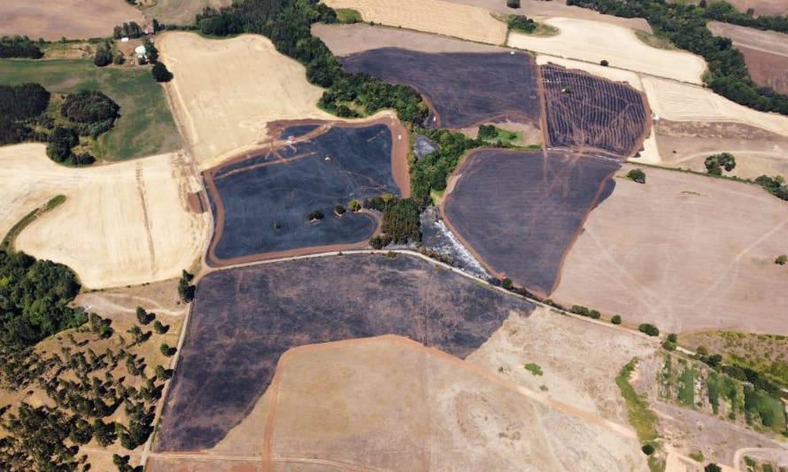 Incendios Forestales: Conaf llama a agricultores de la región a tomar medidas preventivas