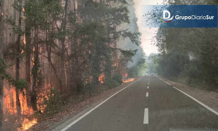 Se declara alerta roja para la comuna de Paillaco por incendio forestal