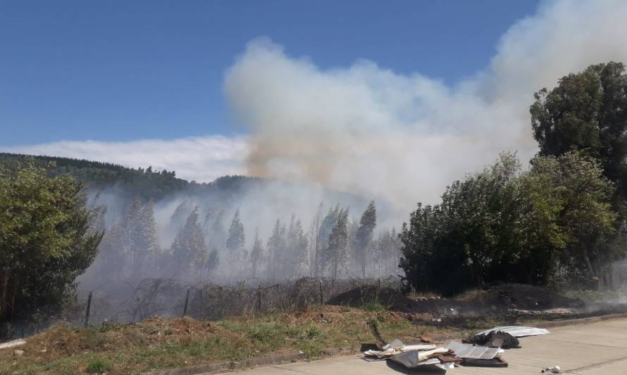 Fuego en Paillaco estaría controlado pero no sofocado