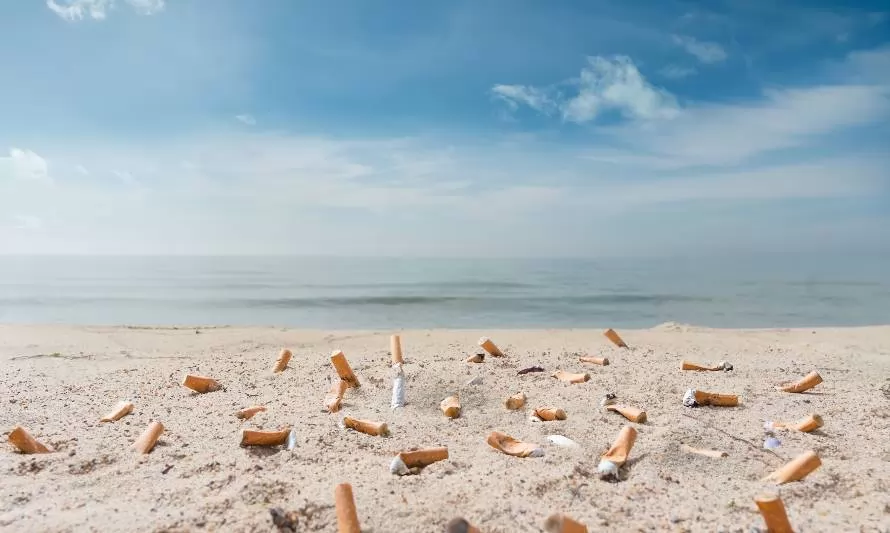 Día Mundial sin Tabaco: el impacto de la industria en el medio ambiente