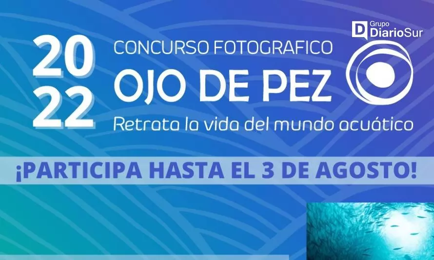Ojo de Pez 2022 invita a fotógrafos a mostrar los ecosistemas acuáticos del país