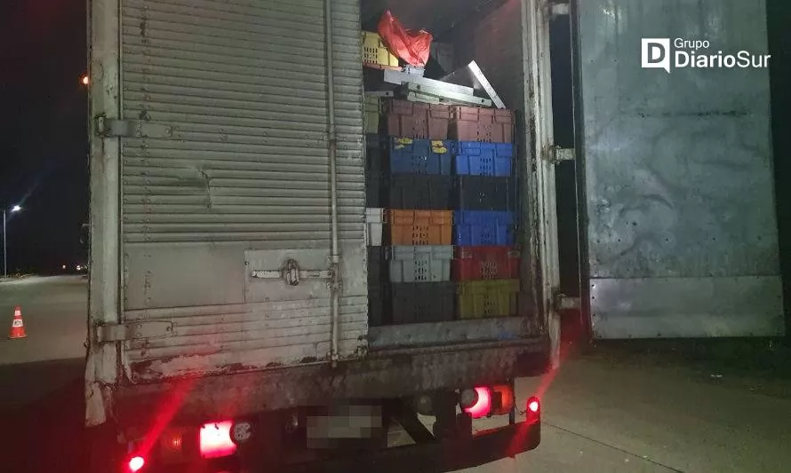 Sorprenden a camión transportando ilegalmente casi 10 toneladas de recursos del mar en peaje Lanco