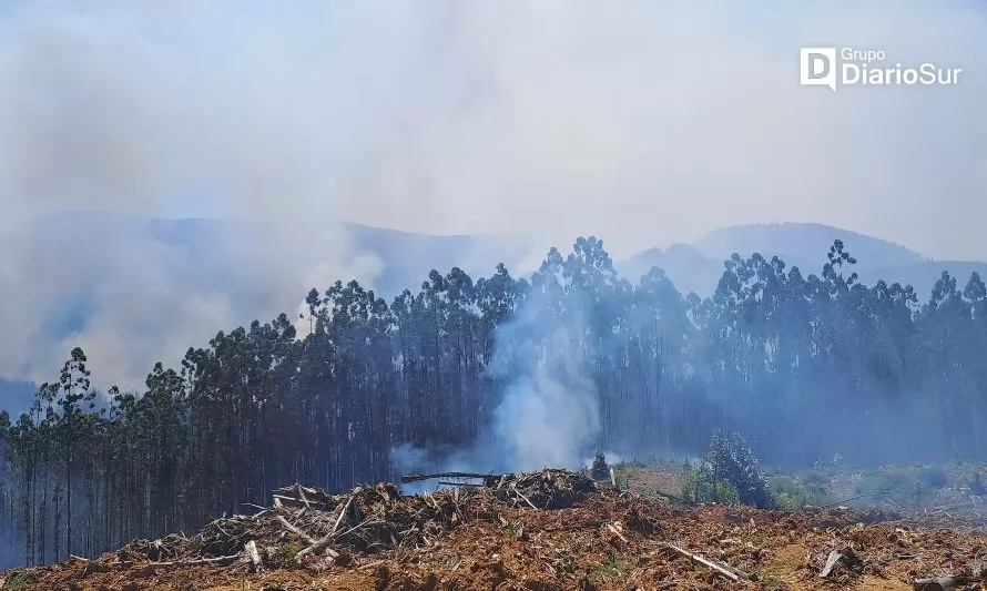 Illahue 2 y Futa ya suman más de 4 mil hectáreas consumidas por el fuego 