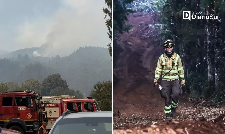 Incendios en Valdivia y Mariquina no presentan avance pero aun están activos