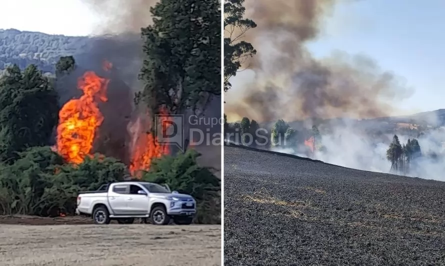 Bomberos y Conaf se esfuerzan por controlar incendio forestal en sector rural de Futrono 