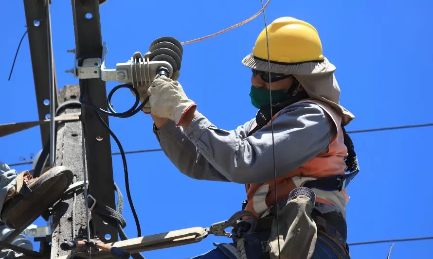 Saesa realizará obras para fortalecer la red eléctrica en sectores rurales de Valdivia, Lanco y Panguipulli
