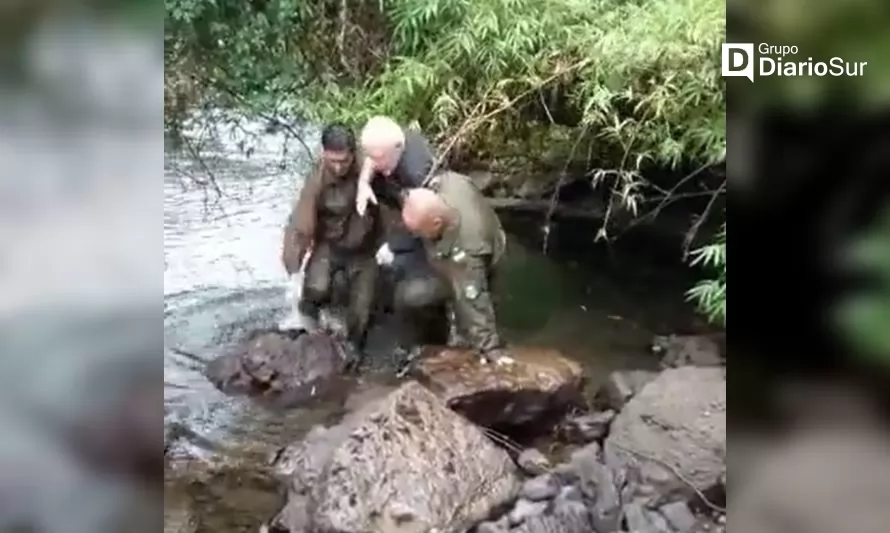 Heroico rescate en Río Bueno: carabinero se lanza al río y salva la vida de un hombre