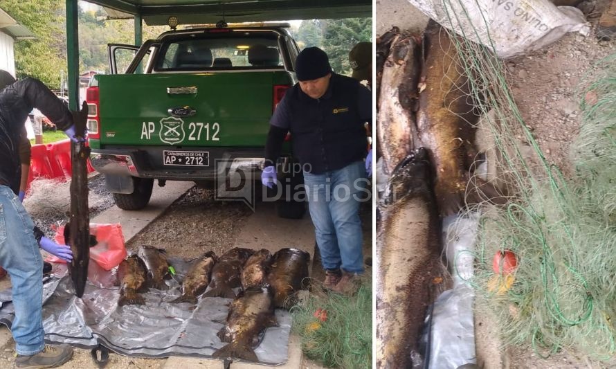 Trío se da a la fuga tras ser sorprendidos pescando con redes en Llifén