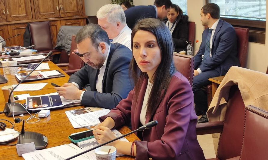 Senadora Gatica en sesión de Obras Públicas