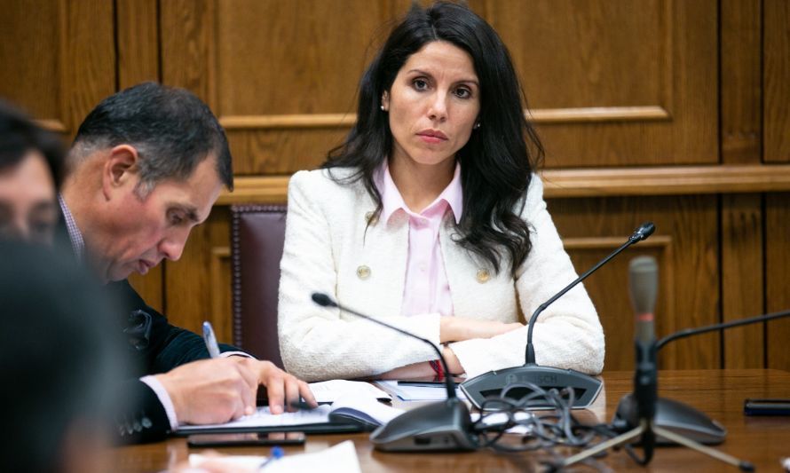 Senadora Gatica en sesión de comisión. Crédito: Cedida.