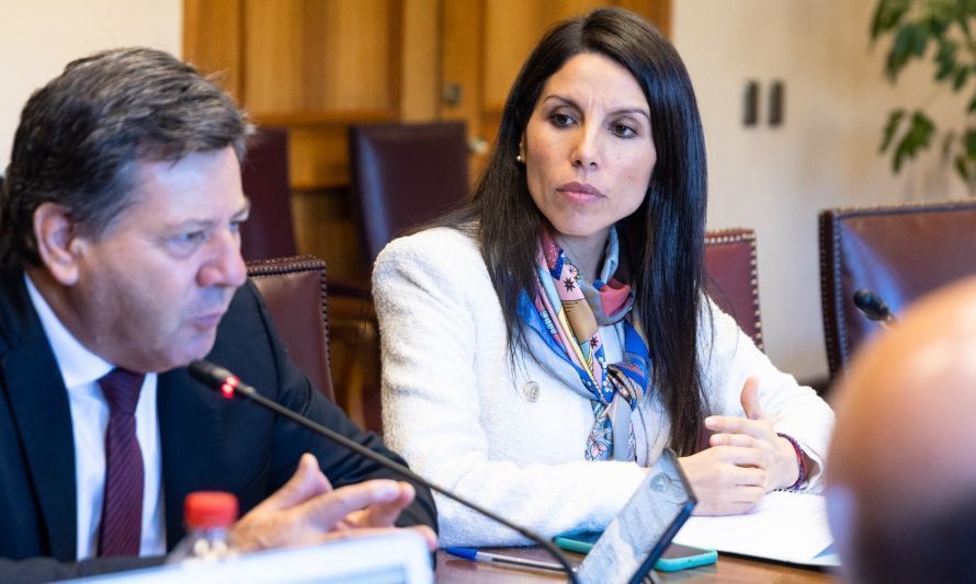Senadora Gatica en el Congreso