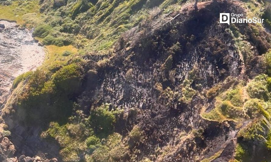 Controlan incendio en zona costera de Mariquina