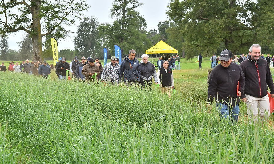 Con énfasis en praderas sostenibles se realizó el Pasture Tour 2023 de Barenbrug