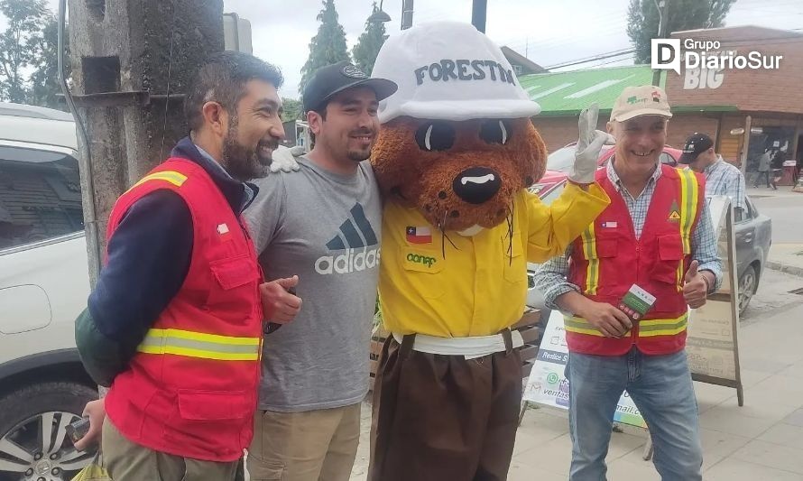 Incendios forestales: Seremi de Agricultura informa escenario actual en Los Ríos