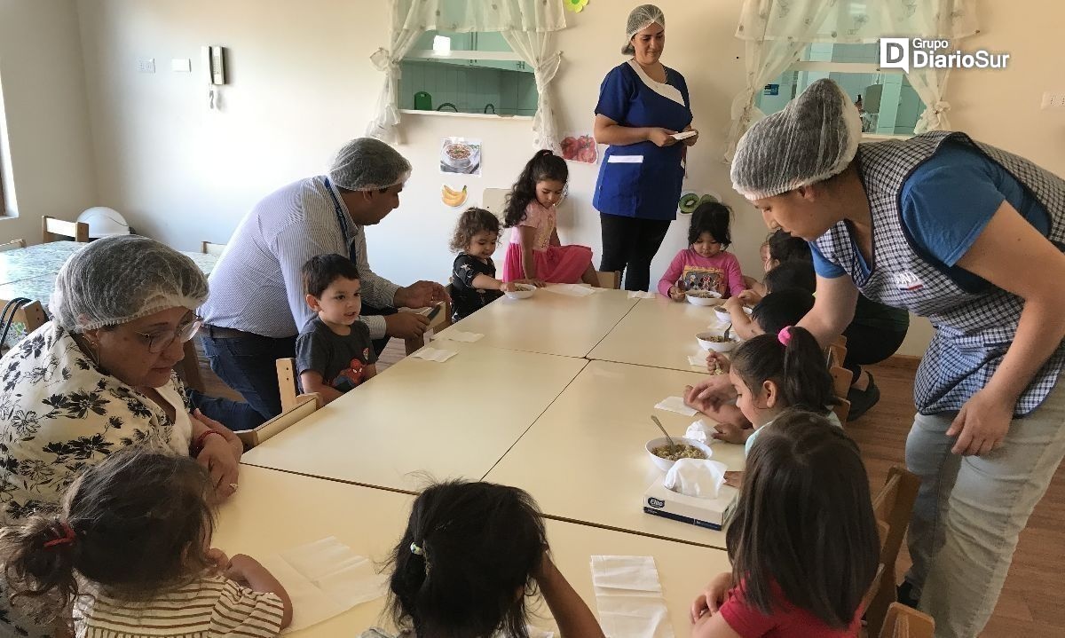 Jardines Infantiles de Verano de la Junji Los Ríos ya están en marcha