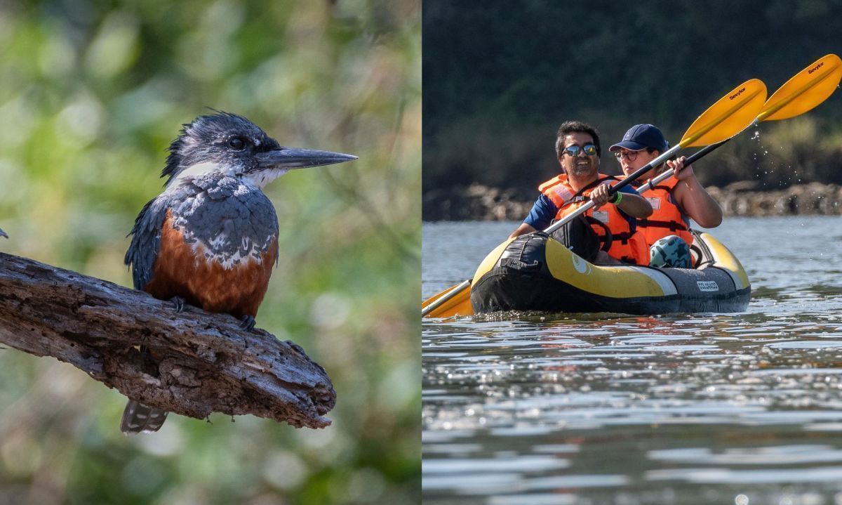 Valdivianos se reúnen a remar en santuario Cutipay y celebrar a los humedales