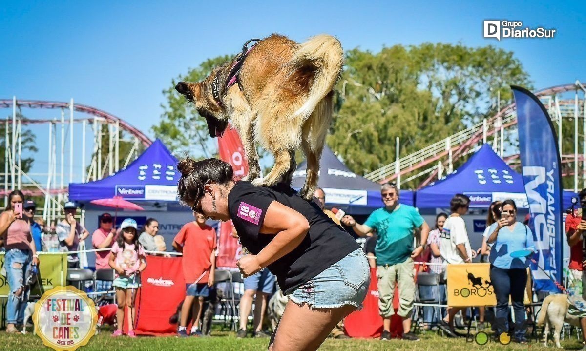 Festival de Canes vuelve este sábado a Valdivia