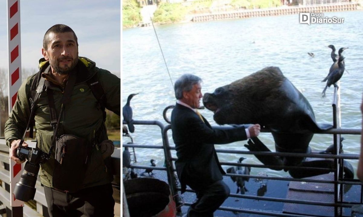 El “lobito” de Piñera, la foto que dio la vuelta al mundo desde Valdivia