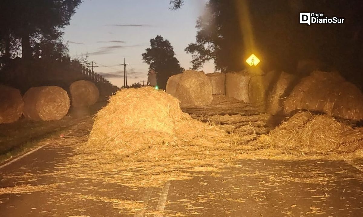 Carro que transportaba bolos de pasto volcó en ruta Paillaco-Futrono