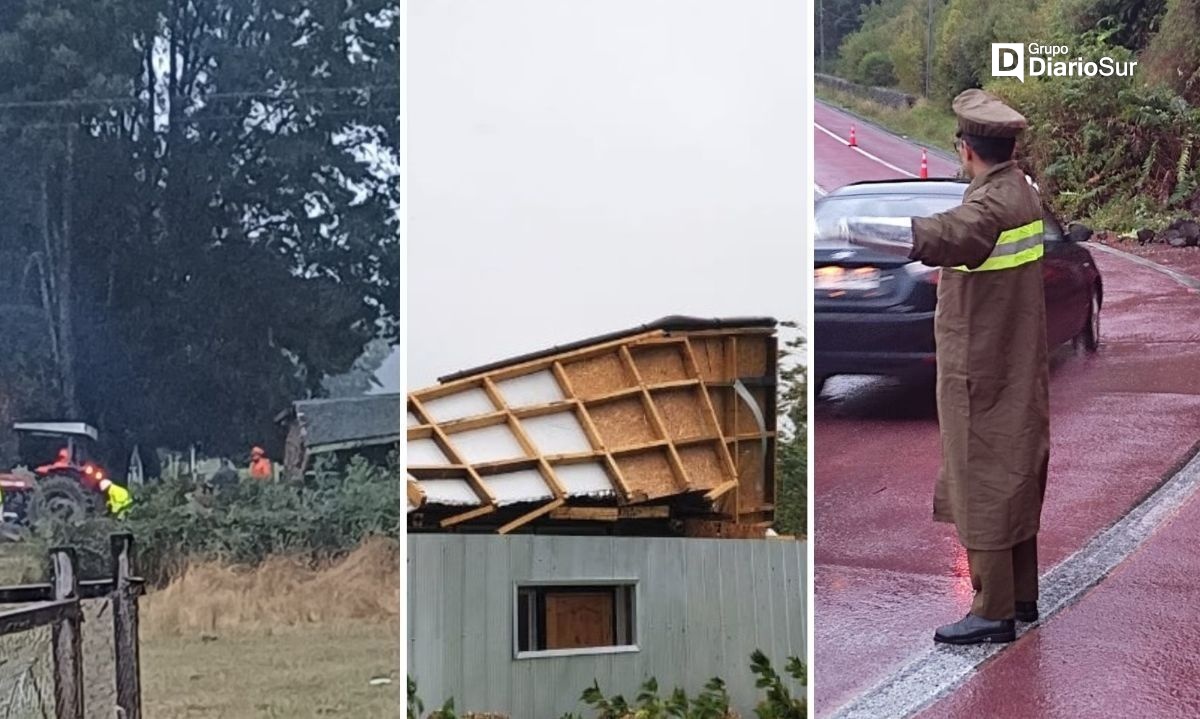 Caída de árboles, voladura de techos y cortes de caminos en primeras horas del sistema frontal en Los Ríos