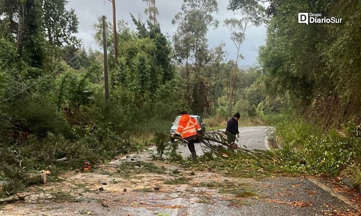 Senapred realizó balance tras fuertes lluvias en la Región de Los Ríos