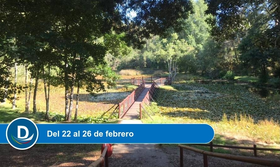 Parque Saval abre sus puertas para la 1era Versión de Valdivia Mueve Escenarios