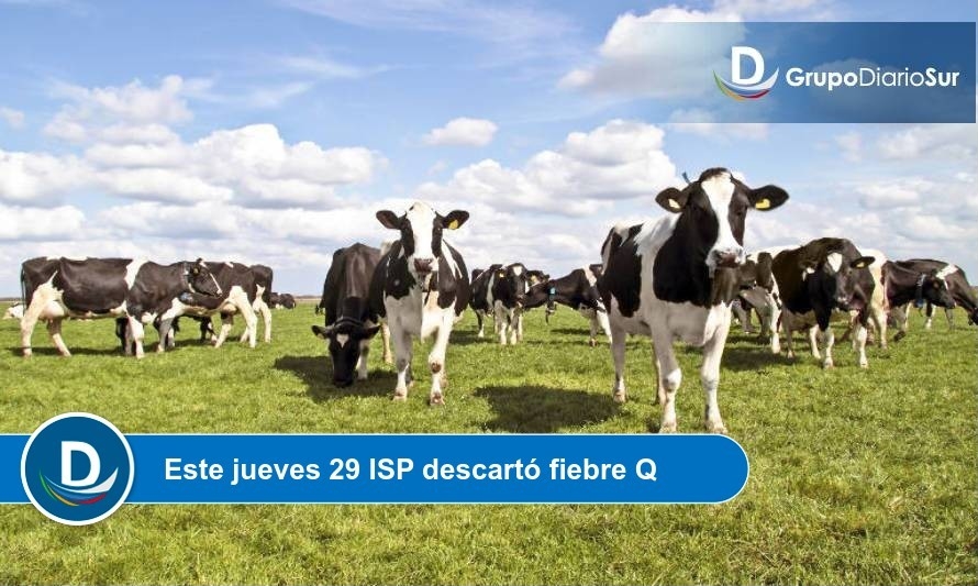 Sepa cómo habría contraído psitacosis la joven veterinaria 