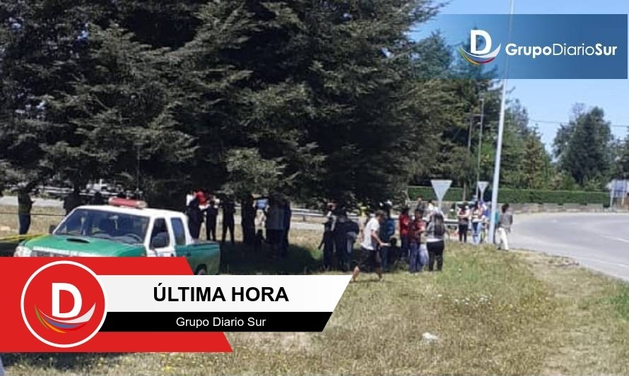 Hallan cuerpo de un hombre junto a la ruta 5 en Máfil