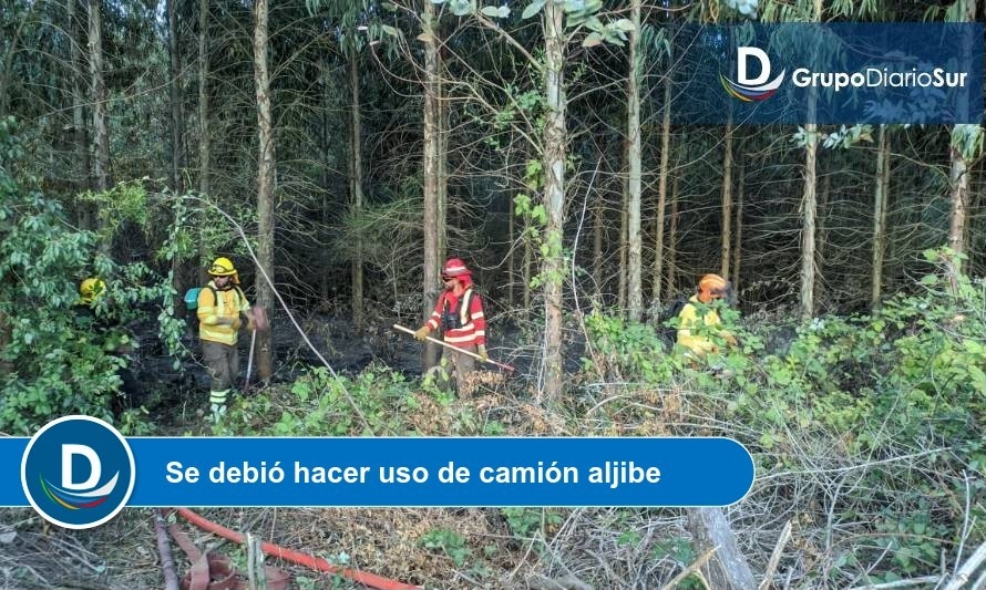 Incendio consumió alrededor de una hectárea de eucaliptos en Paillaco